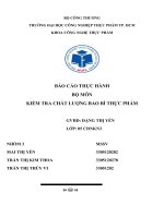 Báo cáo thực hành kiểm tra chất lượng bao bì thực phẩm 