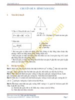 Chuyên đề 9: Hình tam giác và các dạng bài tập ôn thi vào 6