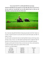 Tải Xem sao hạn năm 2017 sao chiếu mệnh Đinh Sửu nam mạng - Xem sao hạn Đinh Sửu nam mạng năm Đinh Dậu 2017