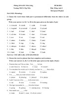 Tải Đề thi học sinh giỏi môn Tiếng Anh lớp 8 THCS Cấp Tiến, Tiên Lãng, Hải Phòng năm học 2016 - 2017 - Đề thi học sinh giỏi môn Tiếng Anh lớp 8 có đáp án