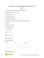 Tải về Bộ đề ôn tập học kì 1 môn Toán lớp 3 năm học 2018 - 2019 - Số 2