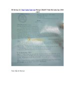 Tải Đề thi học kì 2 lớp 9 môn Ngữ văn Phòng GD&ĐT Ninh Hải năm học 2018 - 2019 - Đề thi Ngữ văn lớp 9 học kì 2 năm 2019