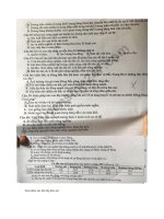 Tải Đề thi thử THPT quốc gia môn Địa lý năm 2018 trường THPT chuyên Bắc Giang (Lần 1) - Đề thi thử THPT quốc gia môn Địa lý có đáp án