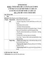 Tải Mẫu bài dạy minh họa môn Ngữ văn THCS mô đun 2 - Mẫu giáo án minh họa môn Ngữ văn THCS Modul 2