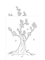 Tải Tranh tô màu hoa mai đẹp nhất - Tranh tập tô cành hoa mai