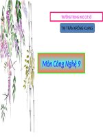 Bai 5 Thuc hanh Noi day dan dien