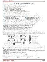 Đề thi thử THPT Quốc gia 2018 môn Sinh học - THPT Nguyễn Huệ - Phú Yên lần 1