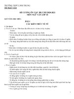 Đề cương ôn tập học kì 1 môn Văn lớp 10 năm 2020 - 2021 THPT Linh Trung | Ngữ văn, Lớp 10 - Ôn Luyện