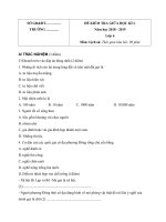 Đề thi giữa học kì 1 môn Lịch sử lớp 6 năm học 2018-2019