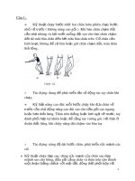 Tài liệu Giáo dục thể chất