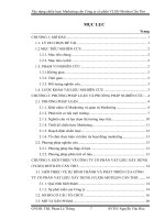 Luận văn - Xây dựng chiến lược marketing cho công ty Cổ Phần Vật Liệu Xây Dựng Motilen Cần Thơ