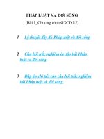 Trọn bộ lý thuyết và câu hỏi trắc nghiệm bài Pháp luật và đời sống - GDCD 12