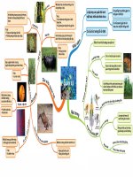 [Tài liệu] Sơ đồ tư duy - Quần xã Sinh học THPT