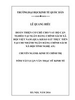 Hoàn thiện cơ cấu vay hộ cận nghèo tại Ngân hàng Chính sách Xã hội Việt Nam (qua khảo sát thực tiễn tại chi nhánh Ngân hàng Chính sách Xã hội tỉnh Nghệ An)