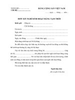 Mẫu đơn xin nghỉ sinh hoạt Đảng tạm thời, một thời gian