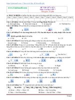 Đề thi giữa kì 2 môn Tin Học lớp 7 trắc nghiệm, tự luận kèm đáp án