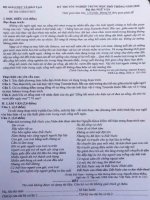 Gợi ý làm bài môn Ngữ văn thi tốt nghiệp THPT 2020