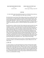 TW 2019 Đại hội đại biểu toàn quốc lần thứ XIII của Đảng