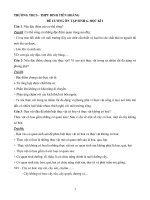 Đề cương ôn tập học kì 1 môn Sinh lớp 6 năm 2020 - 2021 THCS Đinh Tiên Hoàng | Sinh học, Lớp 6 - Ôn Luyện