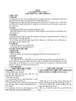 Các nước Đông Nam Á cuối thế kỉ 19 - đầu thế kỉ 20 | Lớp 8, Lịch sử - Ôn Luyện