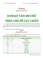 10 đoạn văn 200 chữ theo chủ đề cực chất - Tài liệu luyện thi môn Ngữ Văn