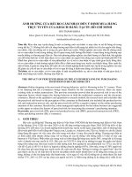 ẢNH HƯỞNG CỦA RỦI RO CẢM NHẬN ĐẾN Ý ĐỊNH MUA HÀNG TRỰC TUYẾN CỦA KHÁCH HÀNG TẠI TP. HỒ CHÍ MINH