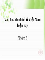 Tiểu luận về Văn hóa chính trị ở Việt Nam hiện nay
