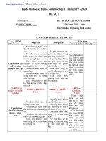 Đề thi học kì 1 Sinh 11, Ma trận bài kiểm tra môn Sinh Học lớp 11