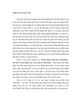 Hoàn thiện chính sách Marketing - Mix đối với sản phẩm sơn của công ty Akzonobel