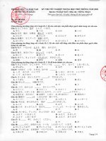 Đề tham khảo kỳ thi tốt nghiệp THPT năm 2020 môn Tiếng Nhật