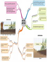 [Tài liệu] Sơ đồ tư duy - Diễn thế sinh thái Sinh học THPT