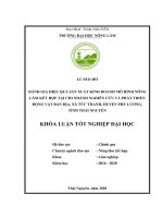 (Khóa luận tốt nghiệp)đánh giá hiệu quả sản xuất kinh doanh mô hình nông lâm kết hợp tại chi nhánh nghiên cứu và phát triển động thực vật bản địa – công ty cổ phần khai khoáng miền núi, xã tức tranh, huyện phú lương, tỉnh thái nguyên