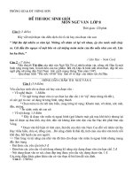 Đề thi HSG ngữ văn 8 trường Hương Sơn có đáp án mới nhất năm 2021