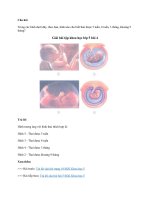 Trả lời câu hỏi trang 11 SGK Khoa học 5 | GBT Khoa học 5 bài 4