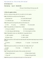 Đề thi học kì 1 môn Sinh lớp 10 trắc nghiệm có đáp án