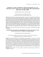 NGHIÊN CỨU THỰC NGHIỆM XÁC ĐỊNH ẢNH HƯỞNG CỦA TÁC NHÂN ĐẾN CHẤT LƯỢNG CỦA SẢN PHẨM KHÍ TRÊN MÔ HÌNH KHÍ HÓA KIỂU NGƯỢC CHIỀU