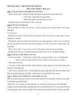 Đề cương ôn tập học kì 1 môn Sinh lớp 8 năm 2020 - 2021 THCS Đinh Tiên Hoàng | Sinh học, Lớp 8 - Ôn Luyện