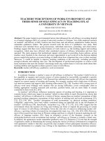 TEACHERS’ PERCEPTIONS OF WORK ENVIRONMENT AND THEIR SENSE OF SELF-EFFICACY IN TEACHING EFL AT A UNIVERSITY IN VIETNAM