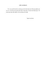 HỆ THỐNG hóa các văn bản QUY ĐỊNH về đạo đức CÔNG vụ  ĐÁNH GIÁ TÌNH HÌNH THỰC HIỆN đạo đức CÔNG vụ của NGƯỜI cán bộ CÔNG CHỨC ở VIỆT NAM HIỆN