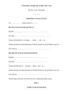 Mẫu hợp đồng cầm cố tài sản