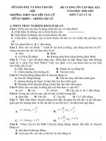 Đề cương ôn tập học kì 1 môn Vật lý lớp 10 năm 2020 - 2021 THPT Nguyễn Văn Cừ | Vật Lý, Lớp 10 - Ôn Luyện