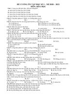 Đề cương ôn tập học kì 1 môn Hóa lớp 12 nâng cao năm 2020 - 2021 THCS Đinh Tiên Hoàng | Lớp 12, Hóa học - Ôn Luyện