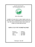 (Khóa luận tốt nghiệp) nghiên cứu bảo tồn và phát triển loài lan hài trần liên (paphiopedilum tranlienianum) đặc hữu bằng phương pháp nhân giống in vitro tại tỉnh thái nguyên