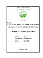 (Khóa luận tốt nghiệp) nghiên cứu ảnh hưởng của hỗn hợp ruột bầu đến sinh trưởng của cây lát hoa (chukrasiatabularis) tại vườn ươm trường đại học nông lâm thái nguyên