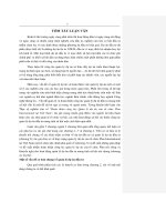 Hoàn thiện công tác quản lý dự án của Tổ chức Plan International tại Việt Nam