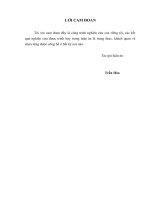 luận án tiến sĩ nghiên cứu mối liên quan giữa kiểu gen giảm chức năng CYP2C19 (ALLELE 2,3) và tiên lượng ở bệnh nhân được can thiệp đặt stent động mạch vành có điều trị CLOPIDOGREL 