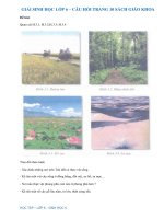 Câu hỏi thảo luận trang 10 SGK Sinh 6 | Giải bài tập Sinh lớp 6 trang 10 | Soạn Sinh 6