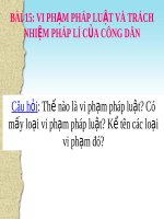 Bài giảng GDCD 9 bài 15 Vi phạm pháp luật và trách nhiệm pháp lí của công dân | Lớp 9, GDCD - Ôn Luyện