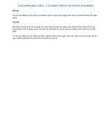 Câu 3 trang 82 SGK Sinh 6 | Câu 3 sgk trang 82 sinh học 6 | Soạn Sinh 6