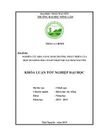 (Khóa luận tốt nghiệp) Nghiên cứu khả năng sinh trưởng, phát triển của một số giống hoa tulip nhập nội tại Thái Nguyên